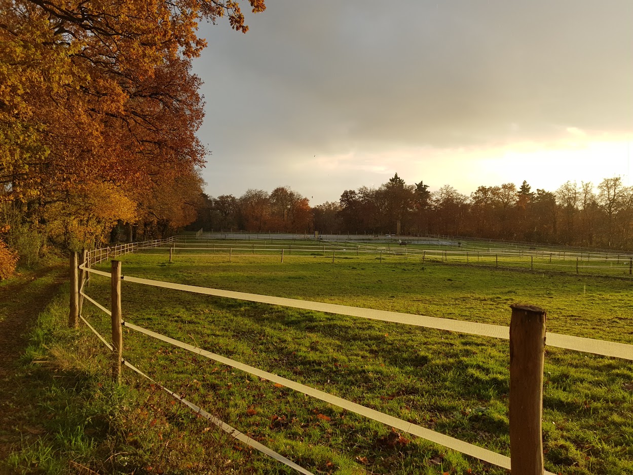 Cours d'équitation Ékinétik